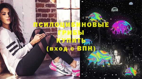 мдпв Нея