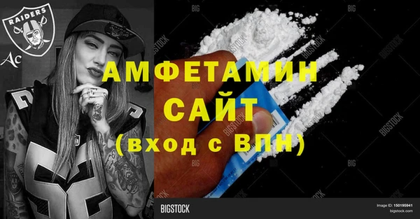 индика Надым