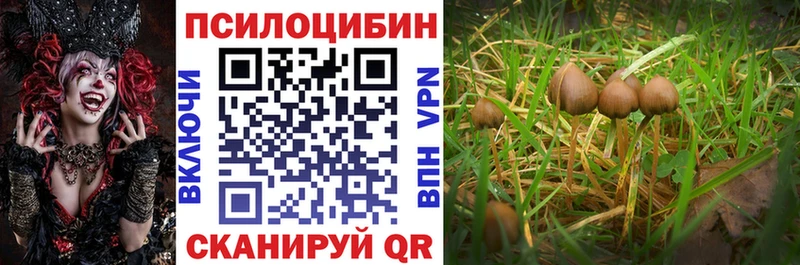 сколько стоит  Кизилюрт  Галлюциногенные грибы Cubensis 