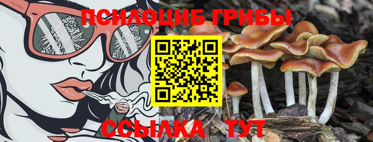 Псилоцибиновые грибы Magic Shrooms Кизилюрт