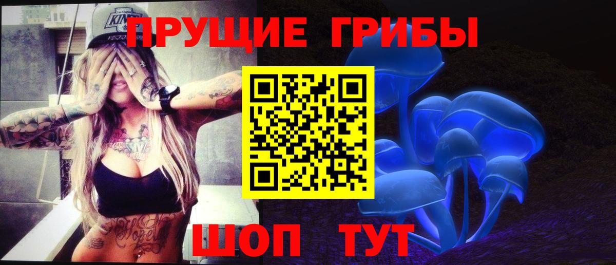 Галлюциногенные грибы MAGIC MUSHROOMS  Галлюциногенные грибы мухоморы  Кизилюрт  Вход с VPN 